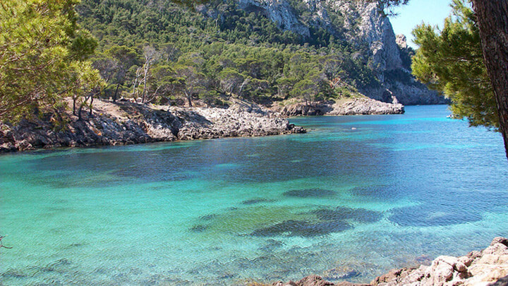 angeltourenmallorca.de bootausfluge nach Cabo Pinar auf Mallorca