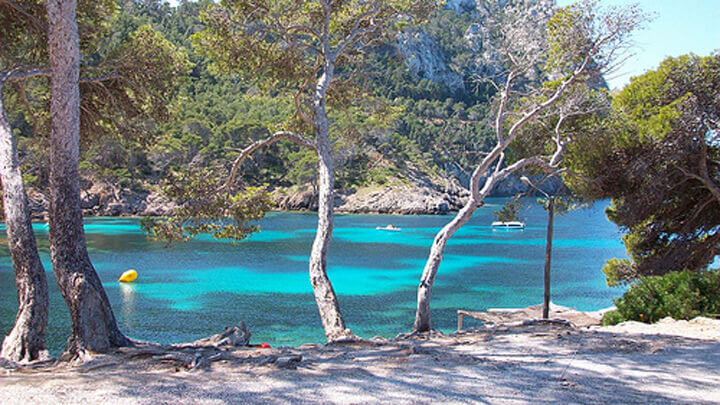 angeltourenmallorca.de bootausfluge nach Cabo Pinar auf Mallorca