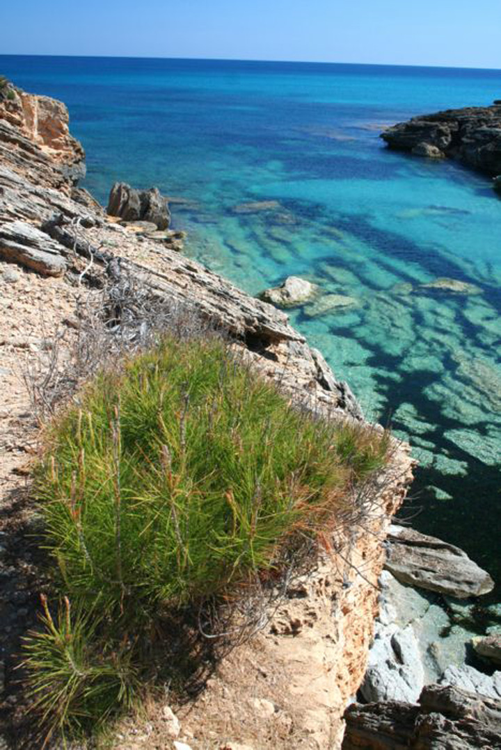angeltourenmallorca.de bootausfluge nach Cala Estreta auf Mallorca
