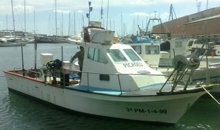 angeltourenmallorca.de Bootstouren auf Mallorca mit Picaseu