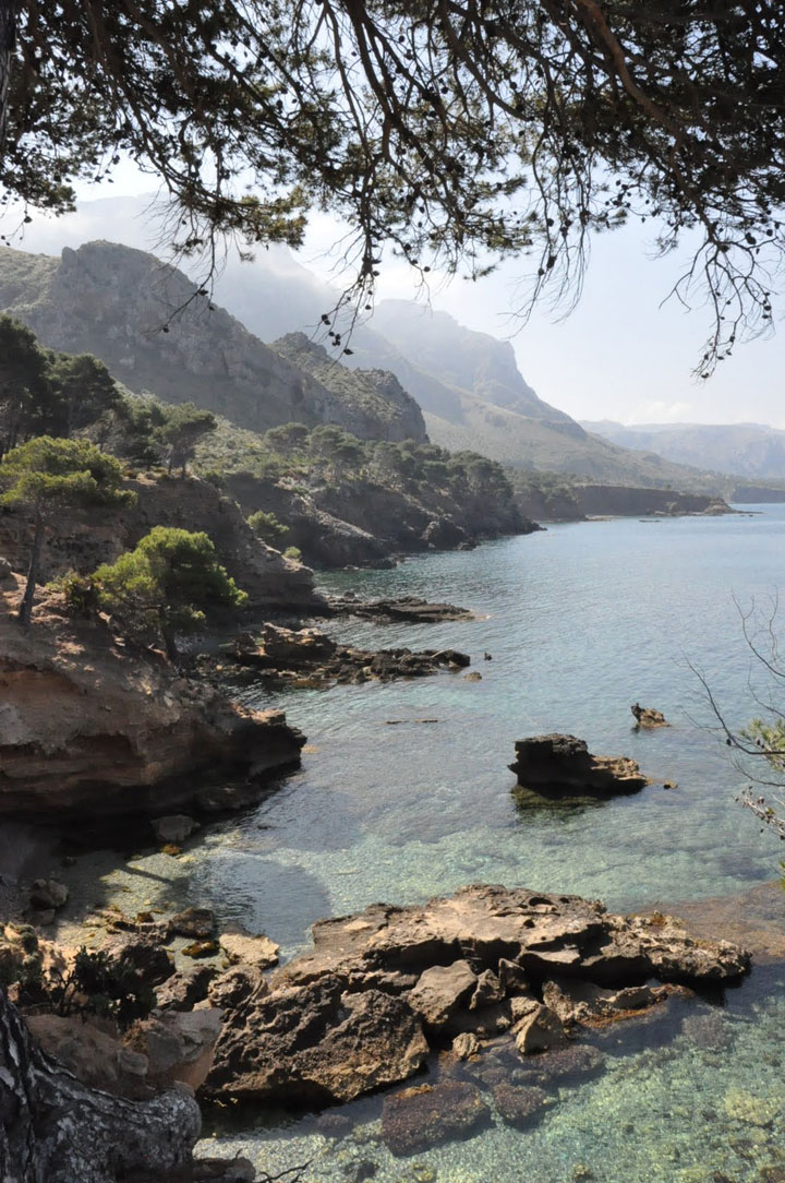 pescaturismomallorca.com excursiones en barco Calo de Betlem Mallorca