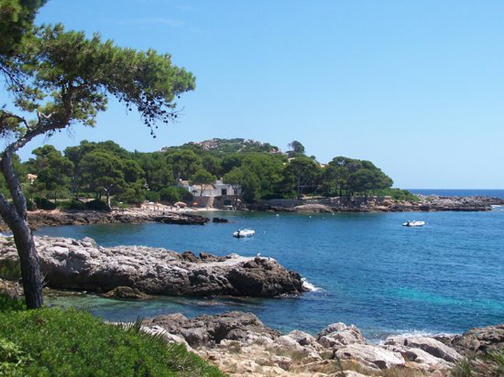 pescaturismomallorca.com excursiones en barco Font sa Cala Mallorca