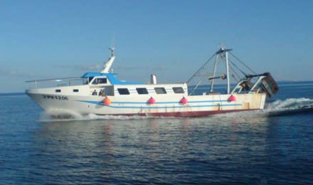 angeltourenmallorca.de Bootstouren auf Mallorca mit Paraguay