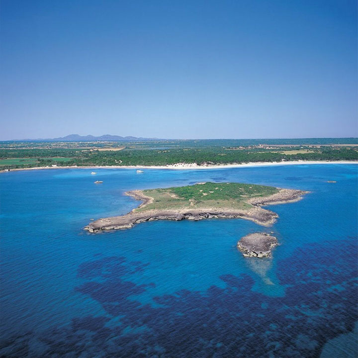 pescaturismomallorca.com excursiones en barco Playa Es Carbó Mallorca