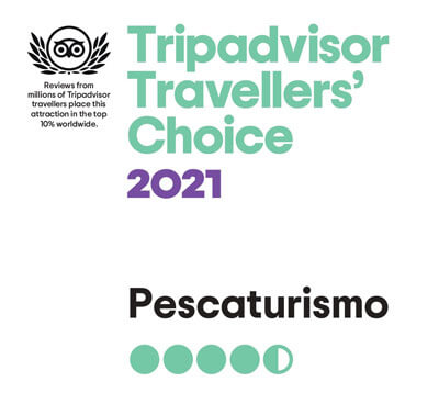 Angeltouren Mallorca Preis Travellers' Choice von Tripadvisor